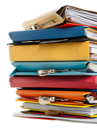 Burse școlare 2025 - 2025