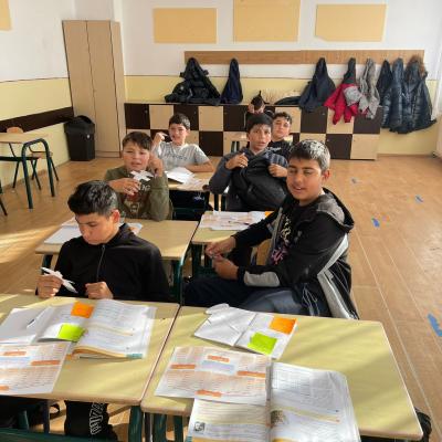 Remediere Lb Romana 10