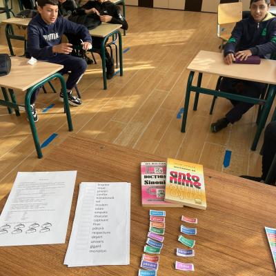 Remediere Lb Romana 14