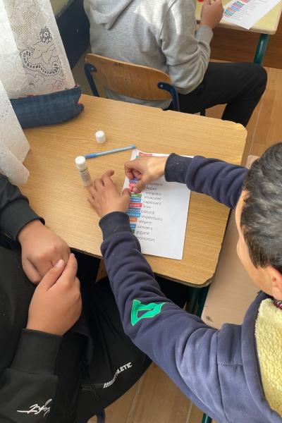 Remediere Lb Romana 15