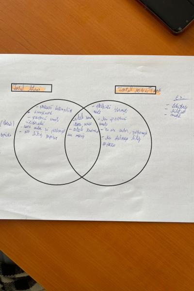 Remediere Lb Romana 16
