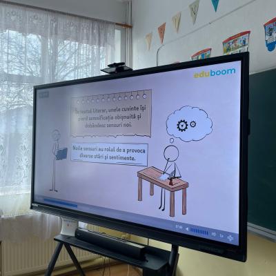 Remediere Lb Romana 17